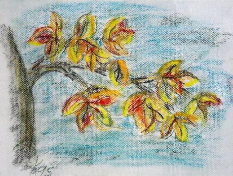 Zweig mit buntem Laub - Kristin Gräfin von Montfort - auf - Array - Zweig mit buntem Laub - Kristin Gräfin von Montfort - auf - Array -