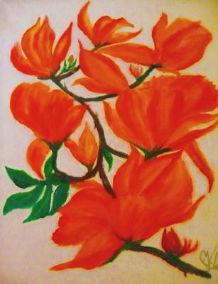 Magnolie - Josef Wimmer - Array auf Array - Array - Array Magnolie - Josef Wimmer - Array auf Array - Array - Array