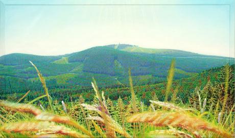 Frühsommerwurmberg - Fred Hahn - Array auf Array - Array - Array Frühsommerwurmberg - Fred Hahn - Array auf Array - Array - Array