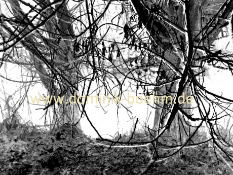 Bei Nacht - 4 - Dominik Böhm - Array auf - Array - Bei Nacht - 4 - Dominik Böhm - Array auf - Array -