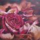 Rose in welken Blättern - ingrid wenz-gahler - Acryl auf - Rosen-Abend - Realismus Rose in welken Blättern - ingrid wenz-gahler - Acryl auf - Rosen-Abend - Realismus