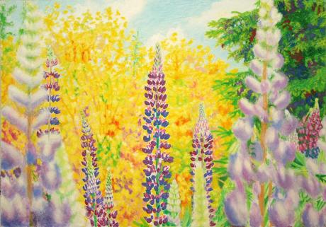 Blumen.Ginster.Heide - Fred Hahn - Array auf Array - Array - Array Blumen.Ginster.Heide - Fred Hahn - Array auf Array - Array - Array