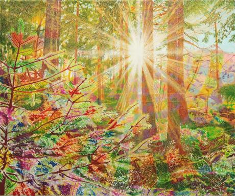 Achtermannurwaldsonne - Fred Hahn - Array auf Array - Array - Array Achtermannurwaldsonne - Fred Hahn - Array auf Array - Array - Array