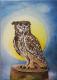 ---Eule - Elisabeth Willner - Acryl auf Leinwand - Vögel - Naturalismus ---Eule - Elisabeth Willner - Acryl auf Leinwand - Vögel - Naturalismus