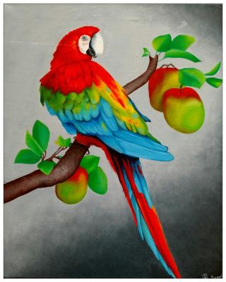 Roter Papagei - Ramona Boehme - Array auf Array - Array - Roter Papagei - Ramona Boehme - Array auf Array - Array -