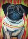Mops Porträt II - Susanne Oster - Pastell auf Papier - Hunde - Gegenständlich-PopArt-Realismus Mops Porträt II - Susanne Oster - Pastell auf Papier - Hunde - Gegenständlich-PopArt-Realismus