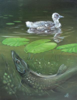 Graugansküken mit Hecht - Ulf-Peter (UP) Schwarz - Array auf Array - Array - Array