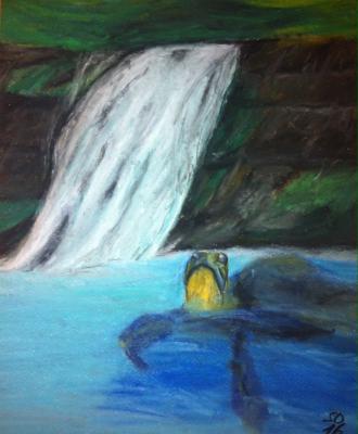 Schildkröte im Waimea-Canyon - Susanne Oster - Array auf Array - Array - Array Schildkröte im Waimea-Canyon - Susanne Oster - Array auf Array - Array - Array