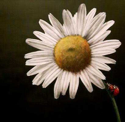 FSK 16 - simone finster - Array auf Array - Array - Array FSK 16 - simone finster - Array auf Array - Array - Array