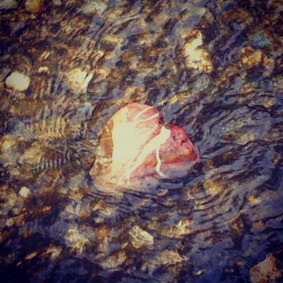 Pulsierendes Herz - L.M. G. - auf - Array - Pulsierendes Herz - L.M. G. - auf - Array -