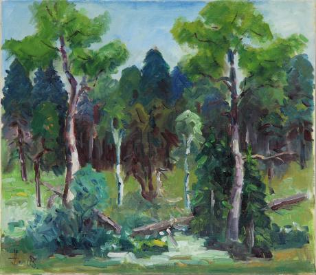 Ibacher Moos im Frühling - Josef Heinzler - Thomas Knab - Array auf Array - Array - Array Ibacher Moos im Frühling - Josef Heinzler - Thomas Knab - Array auf Array - Array - Array