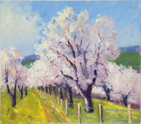 Kirschblüte in Schwerzen - Josef Heinzler - Thomas Knab - Array auf Array - Array - Array Kirschblüte in Schwerzen - Josef Heinzler - Thomas Knab - Array auf Array - Array - Array