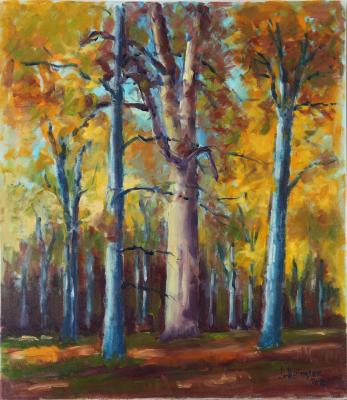 Herbstlicher Eichenwald - Josef Heinzler - Thomas Knab - Array auf Array - Array - Array Herbstlicher Eichenwald - Josef Heinzler - Thomas Knab - Array auf Array - Array - Array