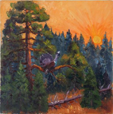 Auerhahn im Sonnenuntergang - Josef Heinzler - Thomas Knab - Array auf Array - Array - Array Auerhahn im Sonnenuntergang - Josef Heinzler - Thomas Knab - Array auf Array - Array - Array