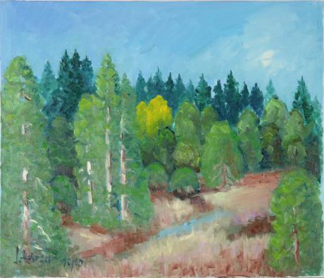 Frohenschwander Moor im Sommer - Josef Heinzler - Thomas Knab - Array auf Array - Array - Array Frohenschwander Moor im Sommer - Josef Heinzler - Thomas Knab - Array auf Array - Array - Array