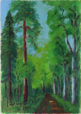 Sommerwald zu Wutöschingen - Josef Heinzler - Thomas Knab - Array auf Array - Array - Array