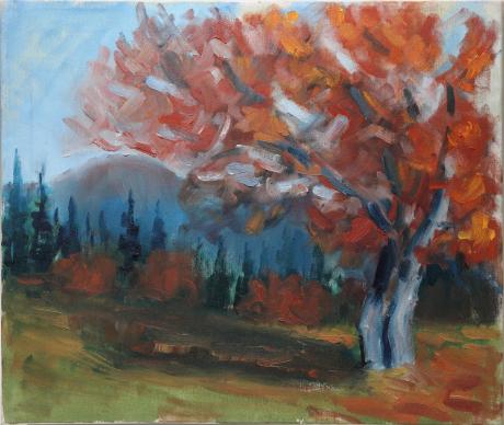 Wetterbuchen auf dem Schauinsland - Josef Heinzler - Thomas Knab - Array auf Array - Array - Array Wetterbuchen auf dem Schauinsland - Josef Heinzler - Thomas Knab - Array auf Array - Array - Array