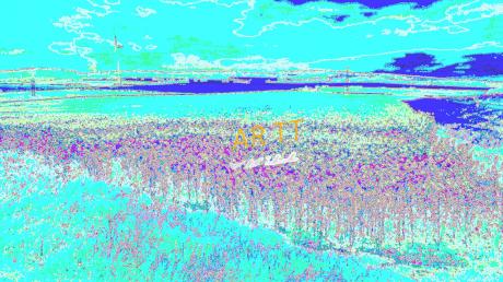 Rrrraps - Arno Schmitt - Array auf  - Array - 