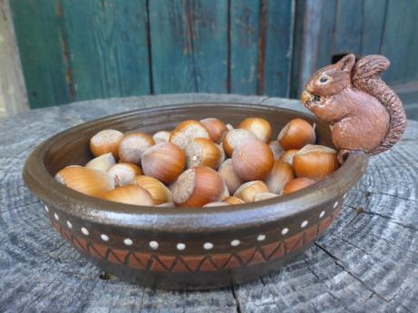 Nussschale mit Eichhörnchen - Anna Kirsche - Array auf - Array - Nussschale mit Eichhörnchen - Anna Kirsche - Array auf - Array -