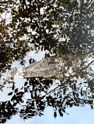 Hide and Seek - dunjate Kunst in Acryl - Array auf Array - Array - Array Hide and Seek - dunjate Kunst in Acryl - Array auf Array - Array - Array