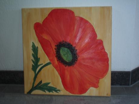 Mohnblüte - Alexandra Claß - Array auf Array - Array - Array Mohnblüte - Alexandra Claß - Array auf Array - Array - Array