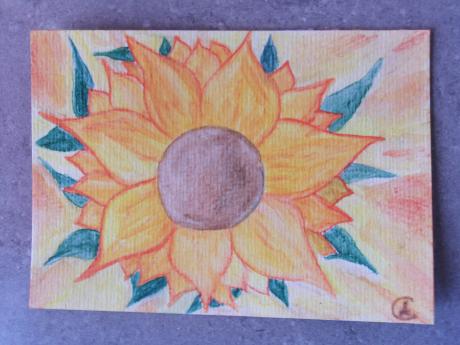 Sonnenblume - Alexandra Claß - Array auf Array - Array - Array Sonnenblume - Alexandra Claß - Array auf Array - Array - Array